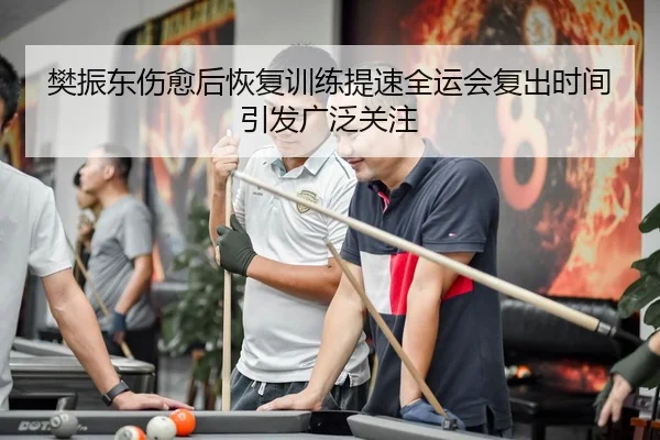 樊振东伤愈后恢复训练提速全运会复出时间引发广泛关注